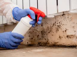 Why You Should Choose Our Mold Remediation Services in Harvard, IL